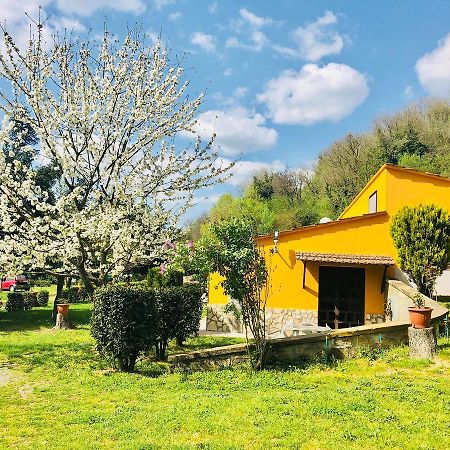 Willa Agriturismo Pianezze Grotte di Castro Zewnętrze zdjęcie